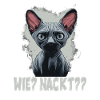 Wie Nackt Nacktkatze