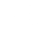 White Sunny Skull