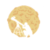 Star gazing