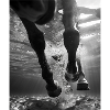 Submergé