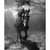 Underwater trot