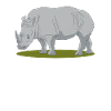 Rhino Rhinoceros Rhinos Gift