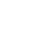 Timon