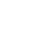 Timur