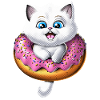 Beignet mignon pour chat