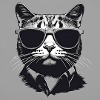 Cool Cat#2