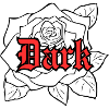 Dark Light rose