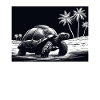Giant Tortoise Galápagos Islands