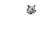 Erdwölfe Erdwolf