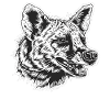 Erdwölfe Erdwolf