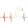 Skateboarder Cardiogram
