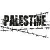 Palestine Barbed Wire