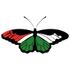 Papillon de Palestine