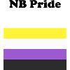 Non Binary NB Pride