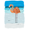 Flamingo