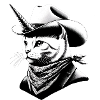 Cowboy-Katze-Einhorn