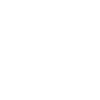 Lion - Light