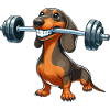 Dachshund Dumbbell Workout Fitness