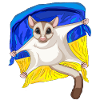 Cute Sugar Glider with Ukraine Flag