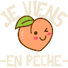 Je viens en pêche.