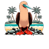 Red-footed Booby Bird