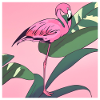 Flamingo#2