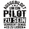 Pilot Flyvemaskine Piloter Flyvende Flyver Flyvende