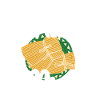 Cuisine mexicaine Tamale