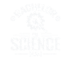 Baccalauréat en sciences Études scientifiques