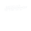 Baccalauréat en beaux-arts (B.F.A.)