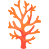 Corail rouge