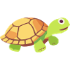 turtle small cute baby