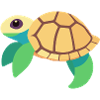 Water turtle green baby