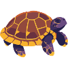 Purple Water Turtle