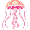 Méduse rose