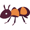 Ant