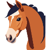 Pferdekopf braunes Pferd