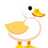 Cute Baby Duck Goose