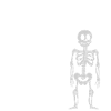 Physiotherapist Physiotherapy Physio