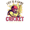 Cricket Player Life Spill Cricket Serious