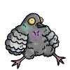 dove