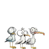 Jogging en couple
