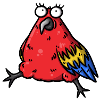 parrot