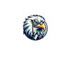This Isn't Amateur Hour