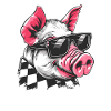 Cool Sunglasses Wearing Pig