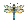 Libellule