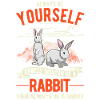 Lapin Lapin Lapin Lapin