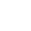 Pole Vaulter Gift