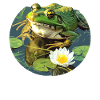 Bullfrogs Bullfrog