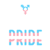 LGBTQ Pride Month - Transgender Pride